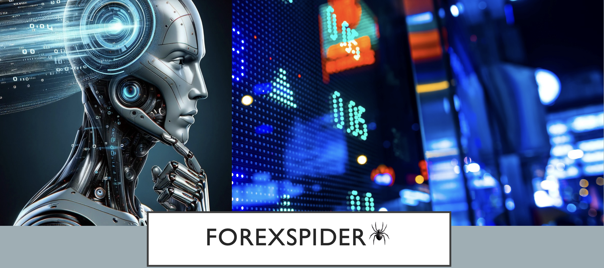 ForexSpider live engine interface